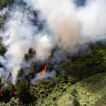 CAR activa plan rural contra incendios forestales