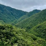 Nueva Zona de Reserva de Recursos Naturales Renovables
