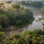 Colombia logra respaldo internacional para proteger la Amazonía
